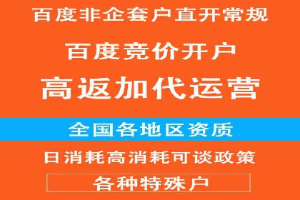 某品牌SEM广告投放的ROI提升案例